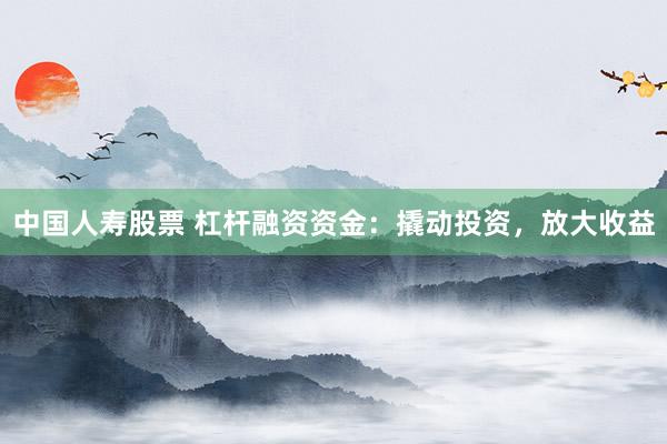 中国人寿股票 杠杆融资资金：撬动投资，放大收益