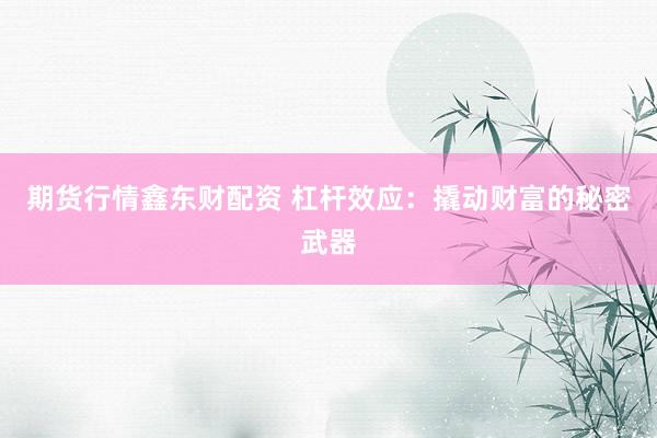期货行情鑫东财配资 杠杆效应：撬动财富的秘密武器