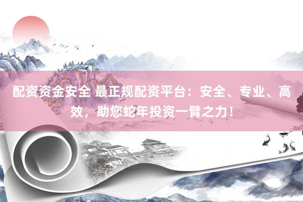 配资资金安全 最正规配资平台：安全、专业、高效，助您蛇年投资一臂之力！
