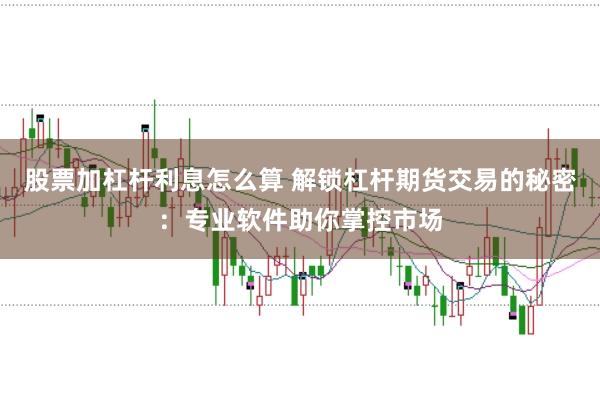 股票加杠杆利息怎么算 解锁杠杆期货交易的秘密：专业软件助你掌控市场