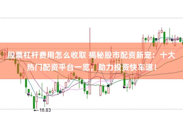 股票杠杆费用怎么收取 揭秘股市配资新宠：十大热门配资平台一览，助力投资快车道！