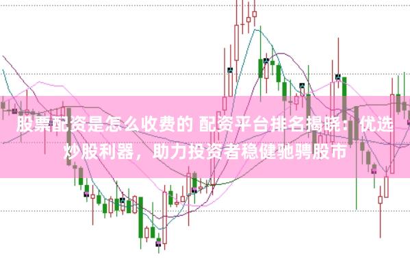 股票配资是怎么收费的 配资平台排名揭晓：优选炒股利器，助力投资者稳健驰骋股市