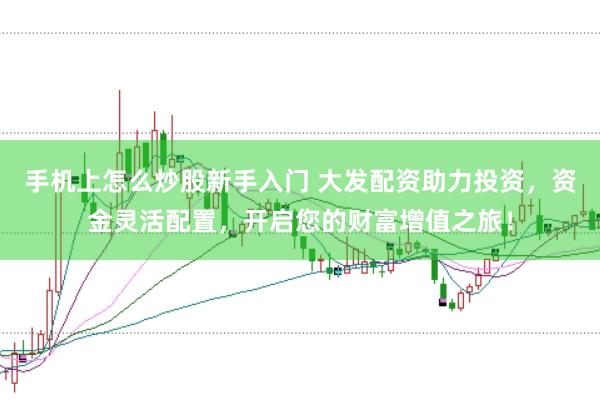 手机上怎么炒股新手入门 大发配资助力投资，资金灵活配置，开启您的财富增值之旅！