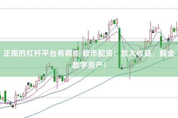 正规的杠杆平台有哪些 数币配资：放大收益，掘金数字资产！
