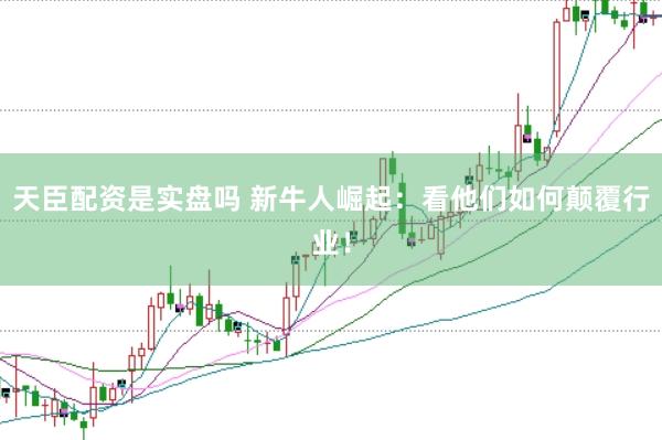 天臣配资是实盘吗 新牛人崛起：看他们如何颠覆行业！