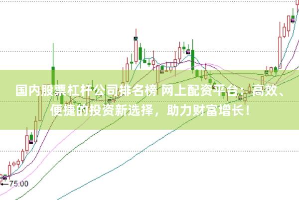 国内股票杠杆公司排名榜 网上配资平台：高效、便捷的投资新选择，助力财富增长！
