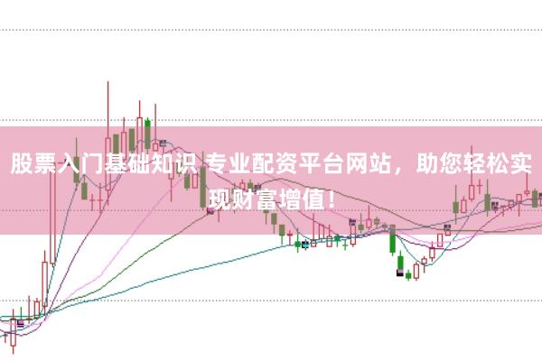 股票入门基础知识 专业配资平台网站，助您轻松实现财富增值！