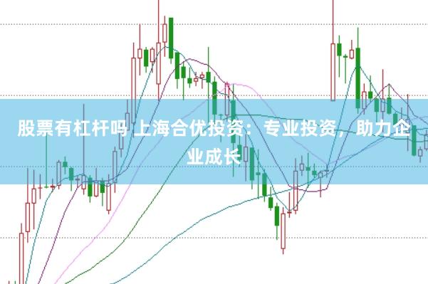 股票有杠杆吗 上海合优投资：专业投资，助力企业成长