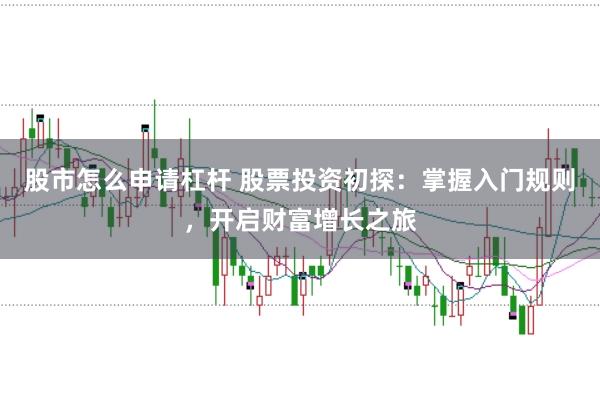 股市怎么申请杠杆 股票投资初探：掌握入门规则，开启财富增长之旅