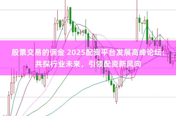 股票交易的佣金 2025配资平台发展高峰论坛：共探行业未来，引领配资新风向