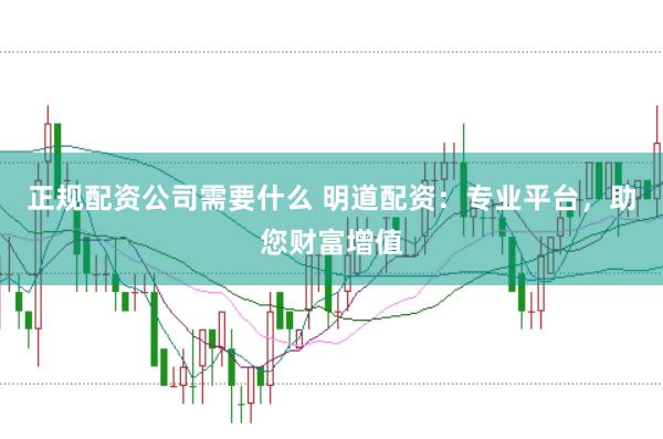 正规配资公司需要什么 明道配资：专业平台，助您财富增值