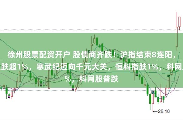 徐州股票配资开户 股债商齐跌！沪指结束8连阳，创业板跌超1%，寒武纪迈向千元大关，恒科指跌1%，科网股普跌