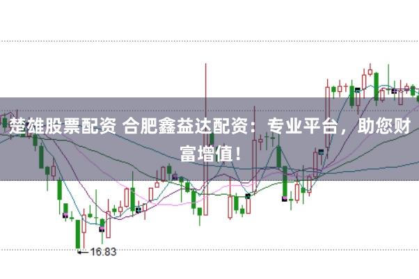 楚雄股票配资 合肥鑫益达配资：专业平台，助您财富增值！