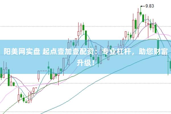 阳美网实盘 起点壹加壹配资：专业杠杆，助您财富升级！