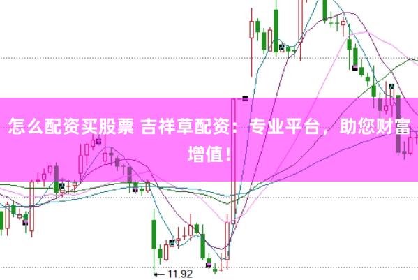 怎么配资买股票 吉祥草配资：专业平台，助您财富增值！