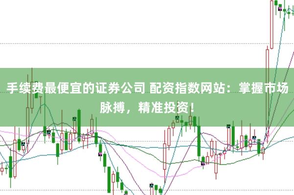 手续费最便宜的证券公司 配资指数网站：掌握市场脉搏，精准投资！
