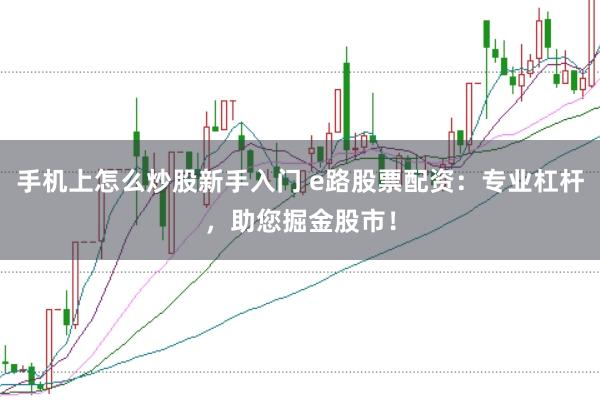 手机上怎么炒股新手入门 e路股票配资：专业杠杆，助您掘金股市！